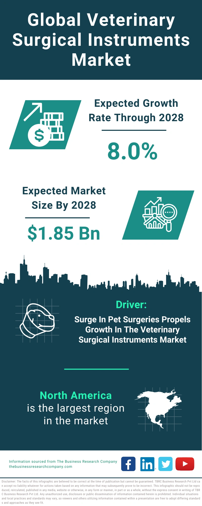 Veterinary Surgical Instruments Global Market Report 2024