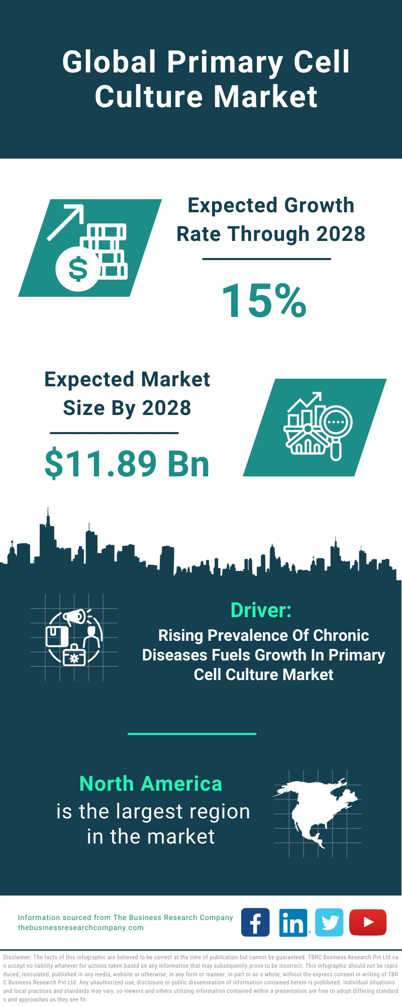 Primary Cell Culture Global Market Report 2024