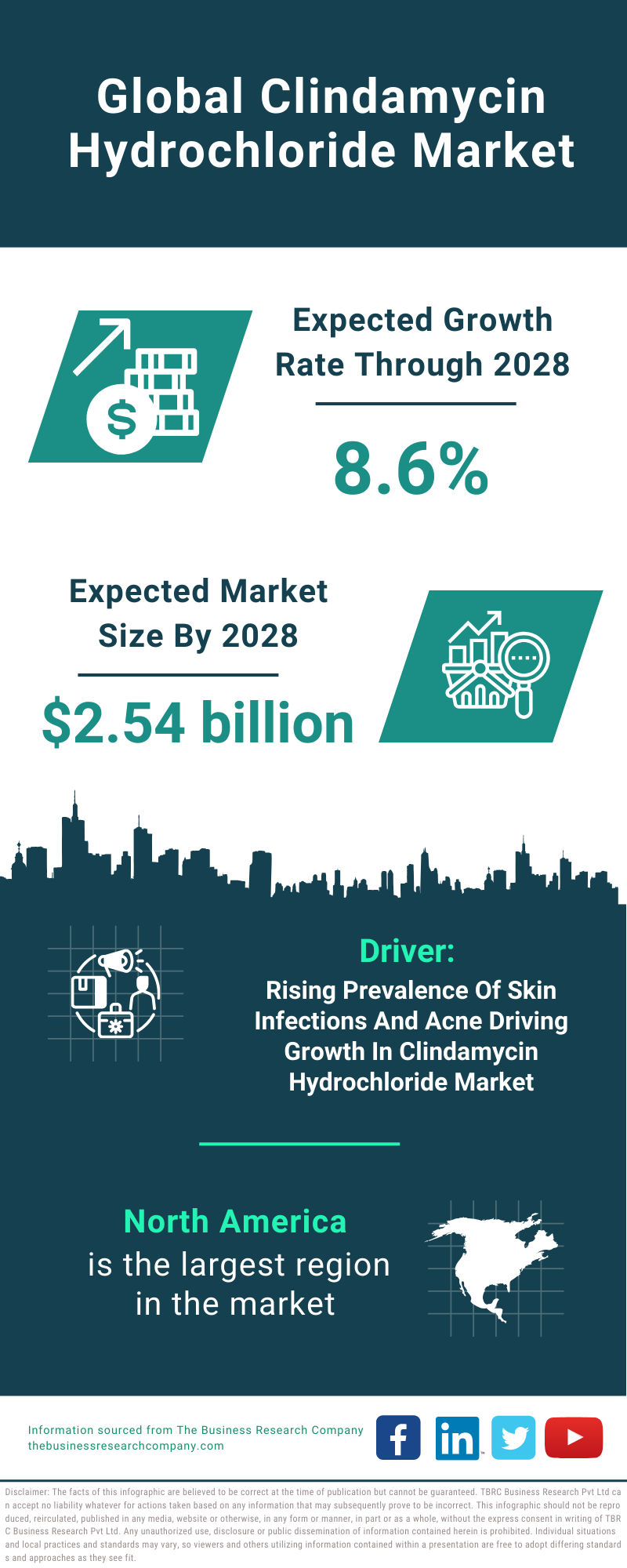 Global Clindamycin Hydrochloride Market Infographic