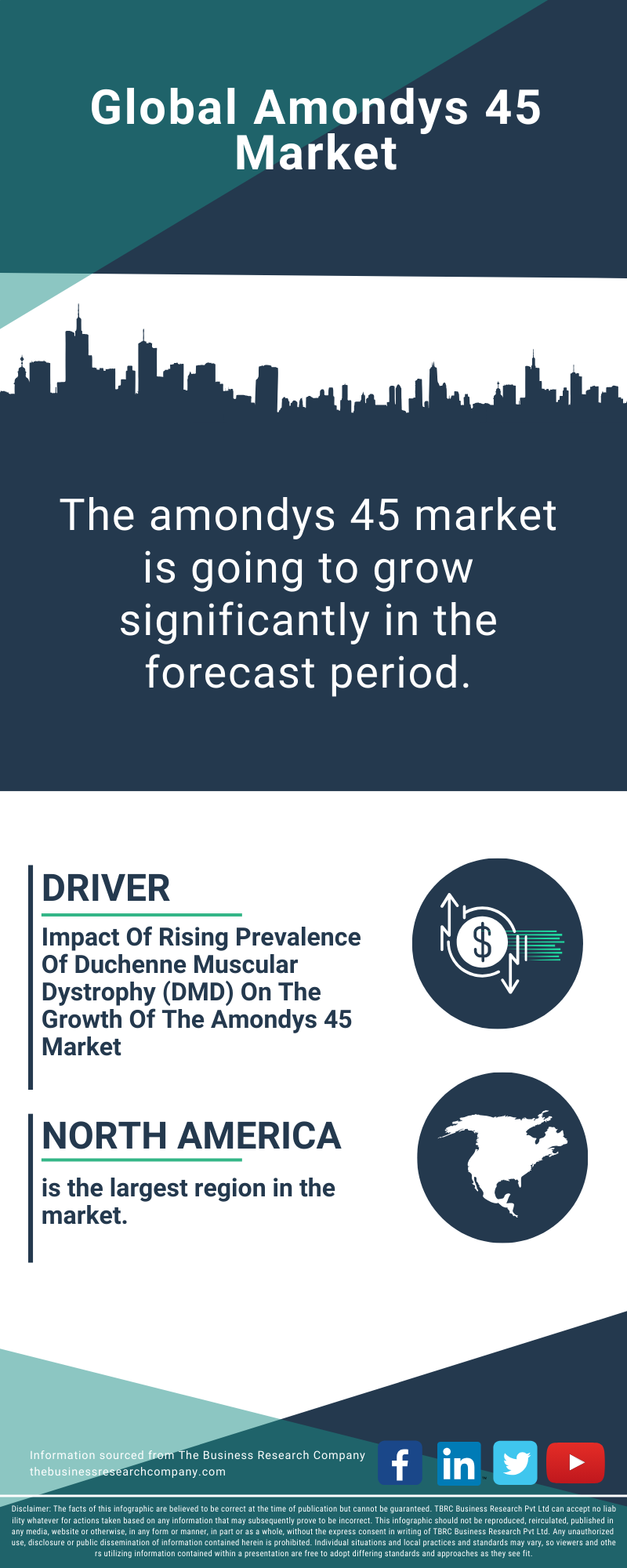 Amondys 45 Global Market Report 2025