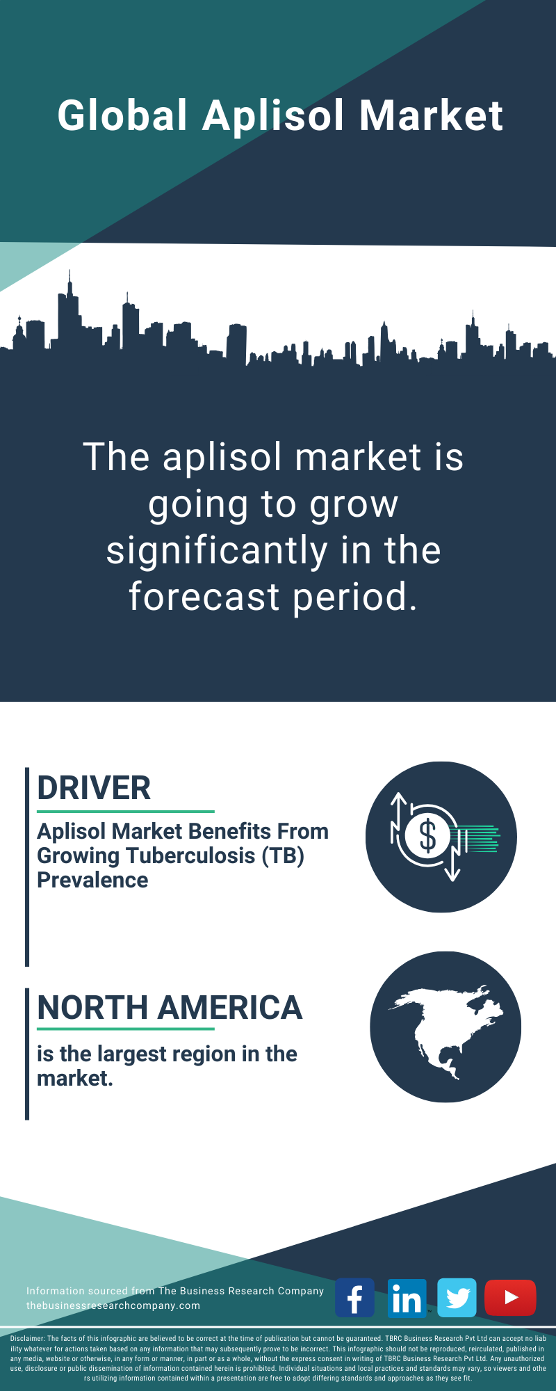 Aplisol Global Market Report 2025