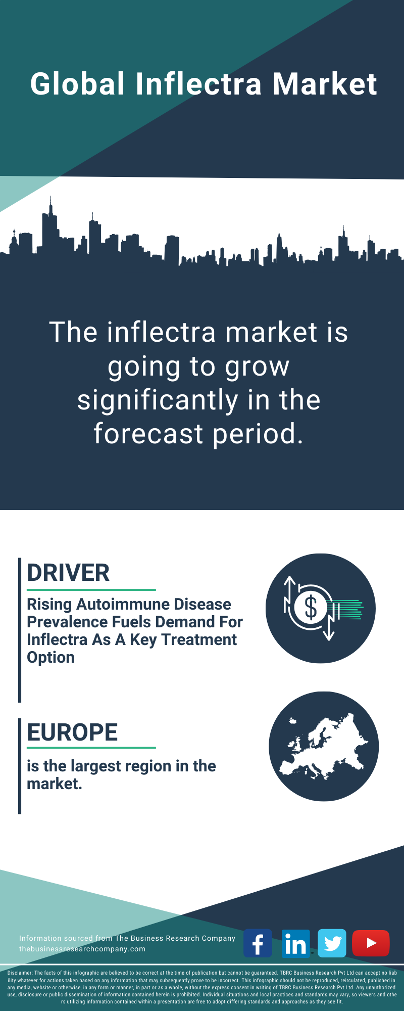 Inflectra Global Market Report 2025