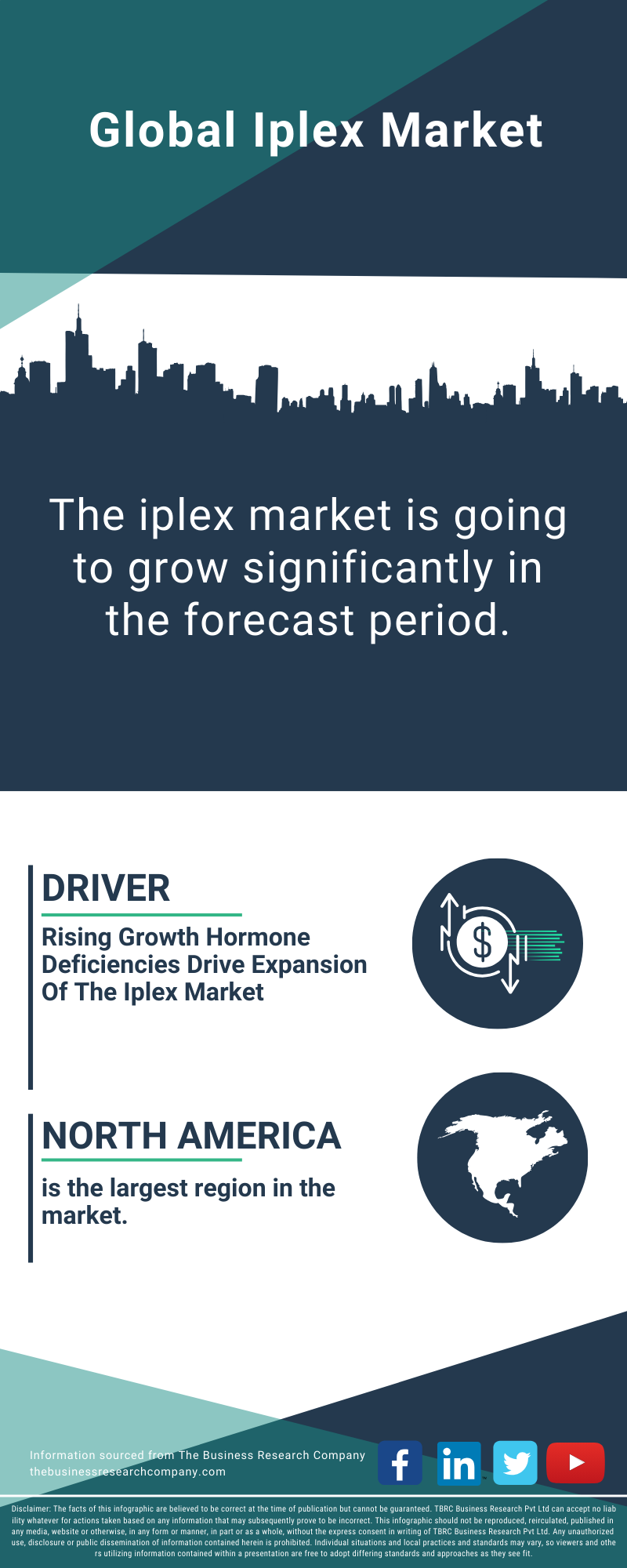 Iplex Global Market Report 2025