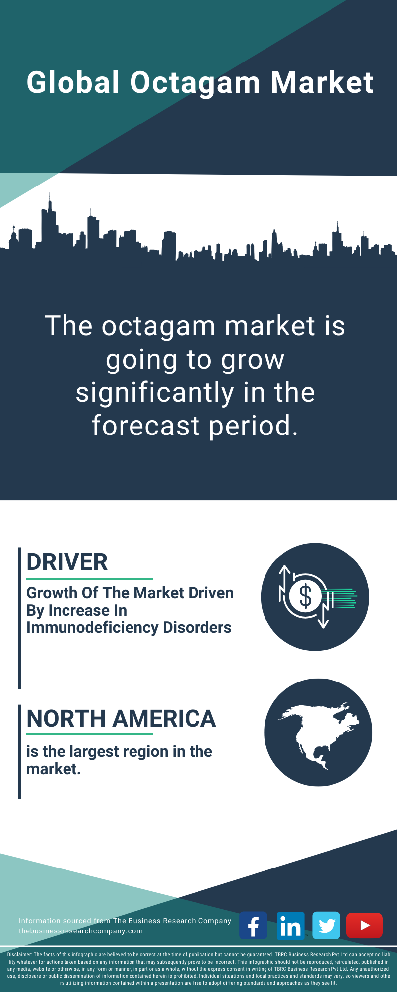 Octagam Global Market Report 2025