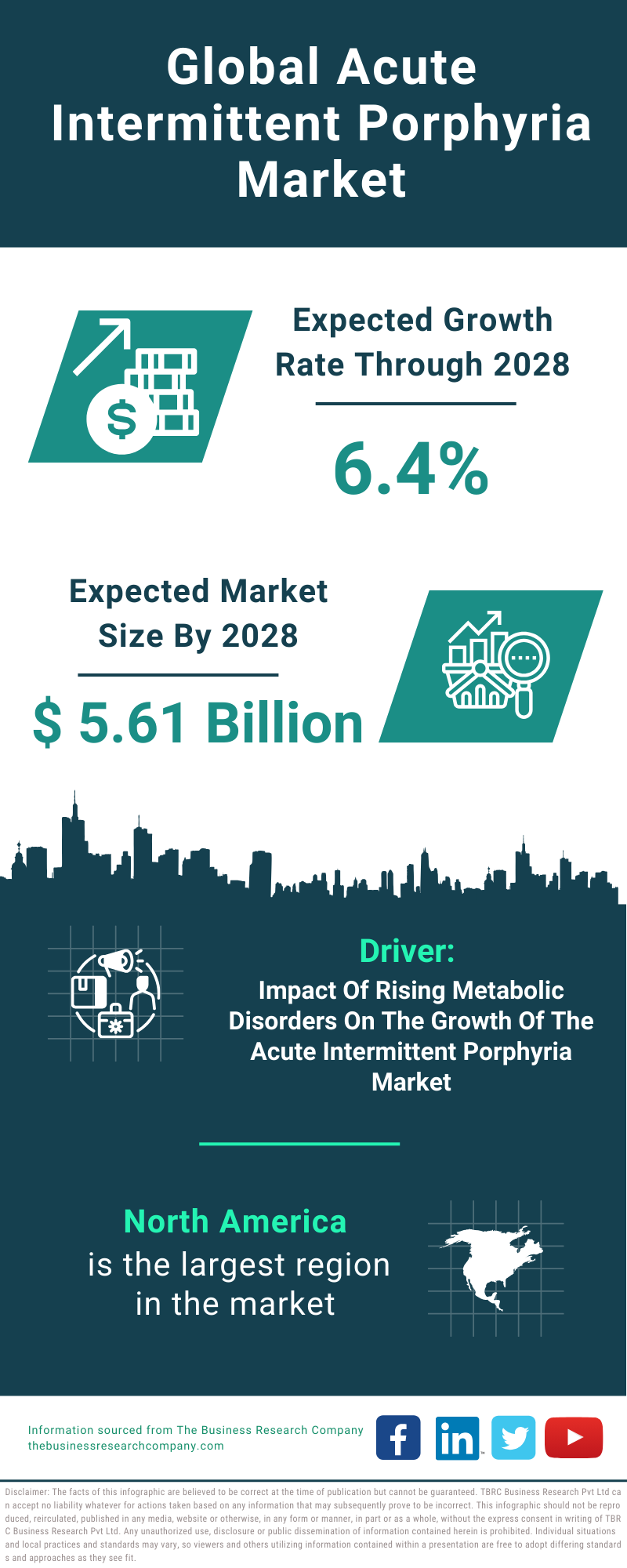 Global Acute Intermittent Porphyria Market Infographic