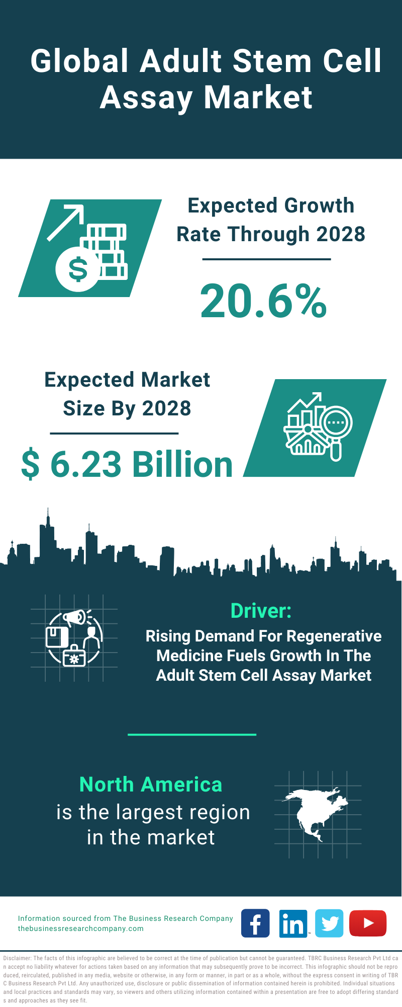 Global Adult Stem Cell Assay Market Infographic