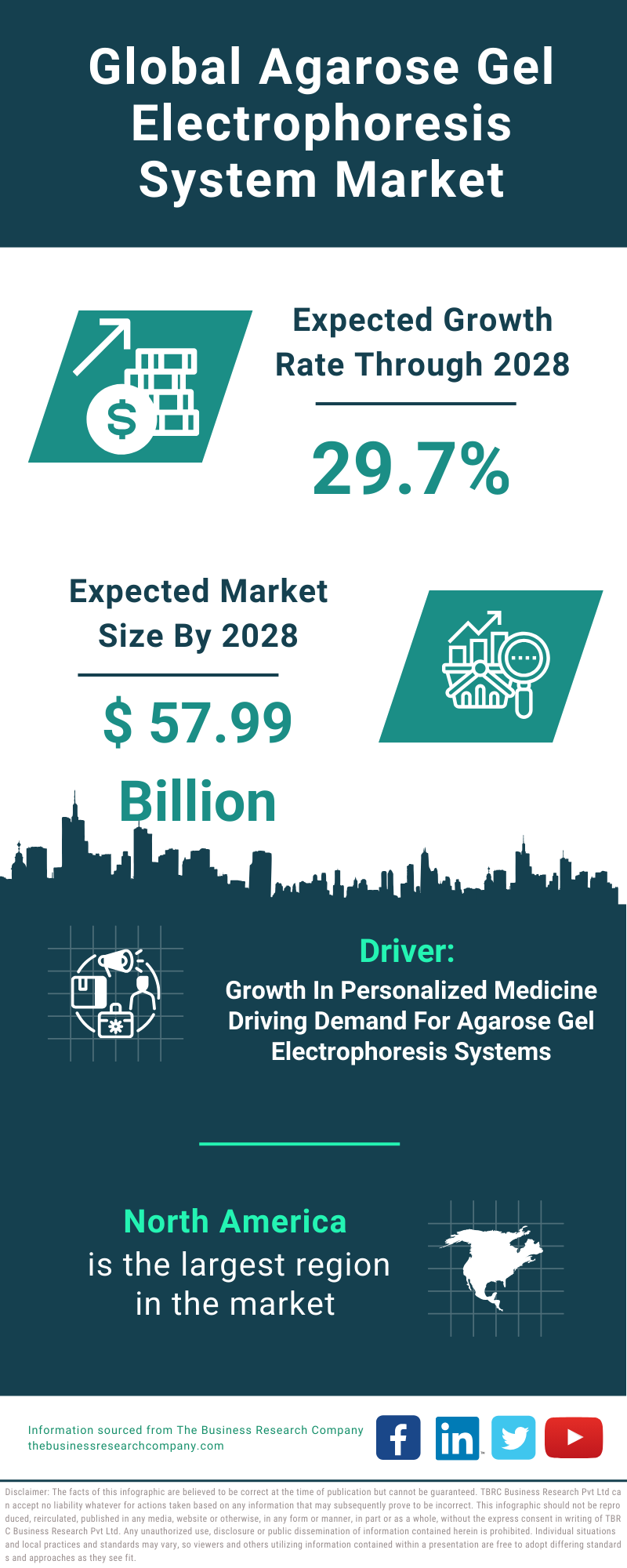 Global Agarose Gel Electrophoresis System Market Infographic