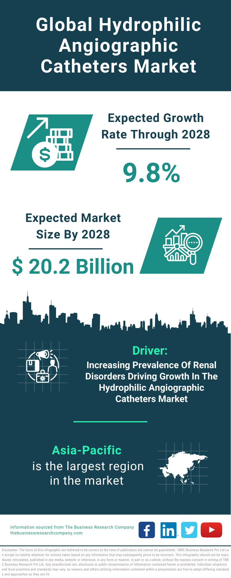 Global Hydrophilic Angiographic Catheters Market Infographic