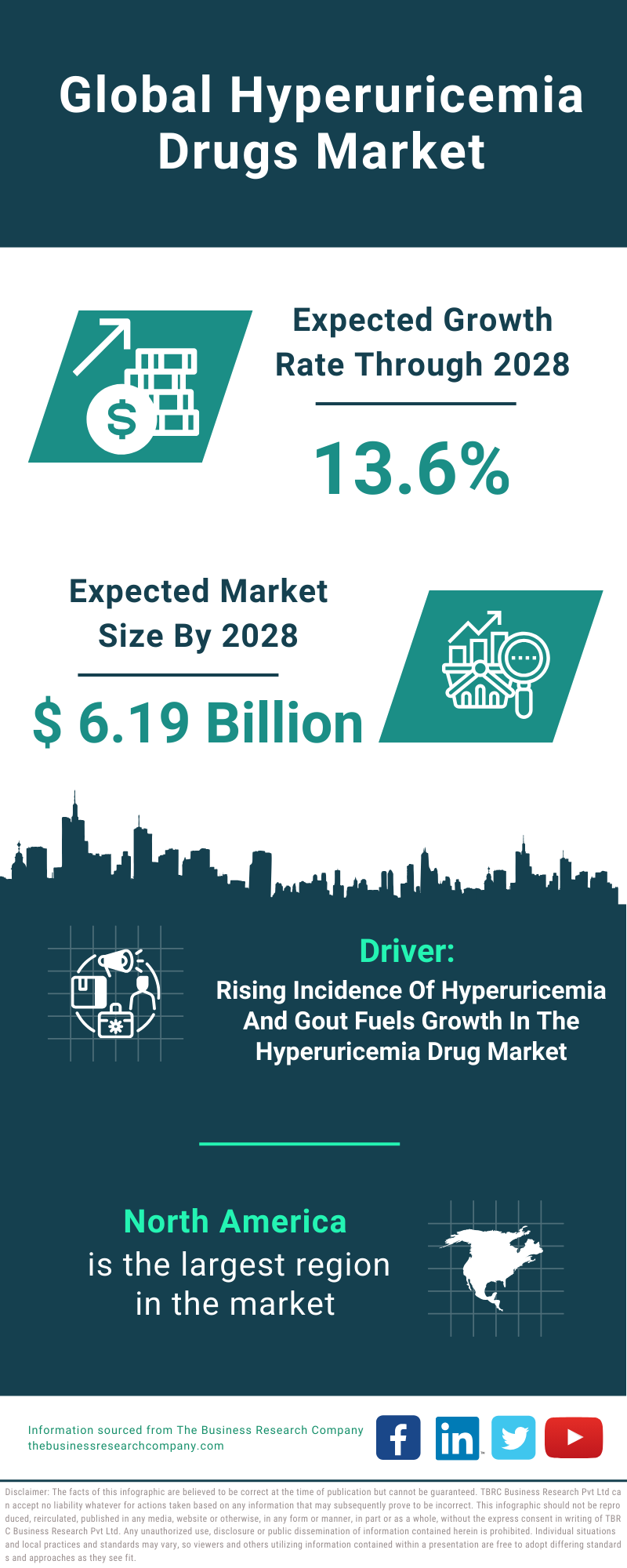 Global Hyperuricemia Drugs Market Infographic