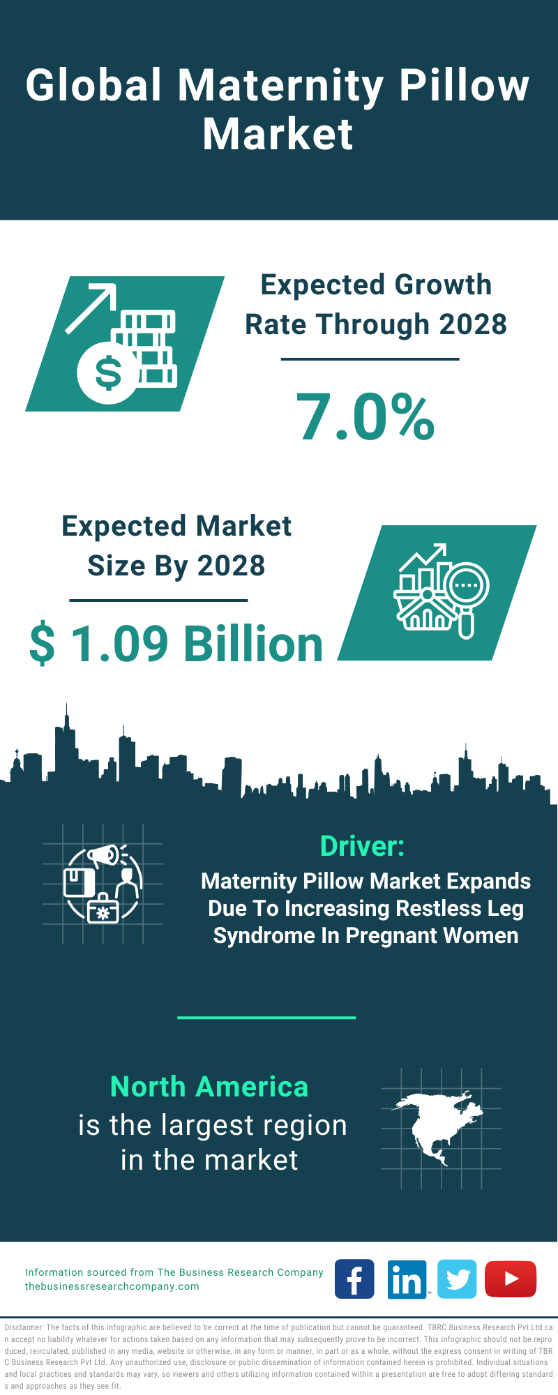 Global Maternity Pillow Market Infographic