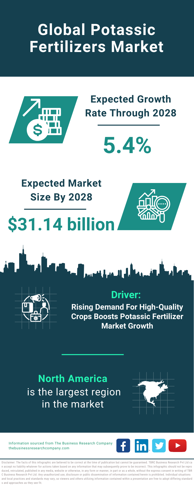 Global Potassic Fertilizers Market Infographic