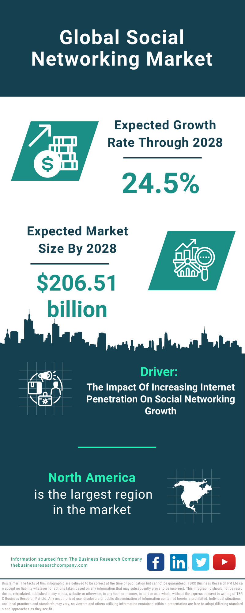 Global Social Networking Market Infographic