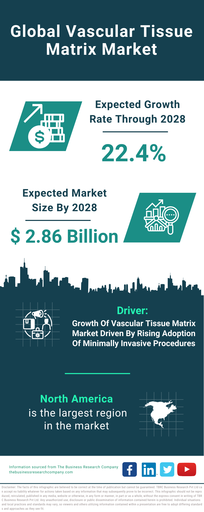 Global Vascular Tissue Matrix Market Infographic