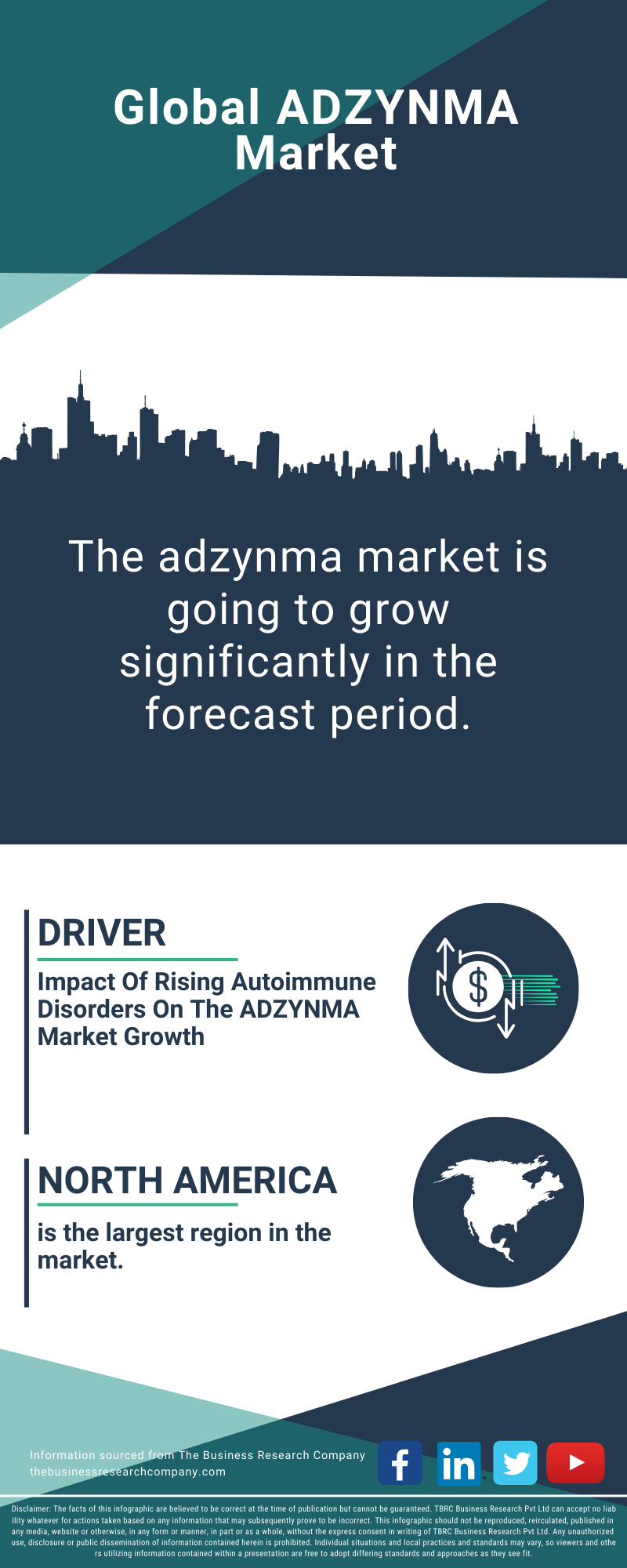 ADZYNMA Global Market Report 2025