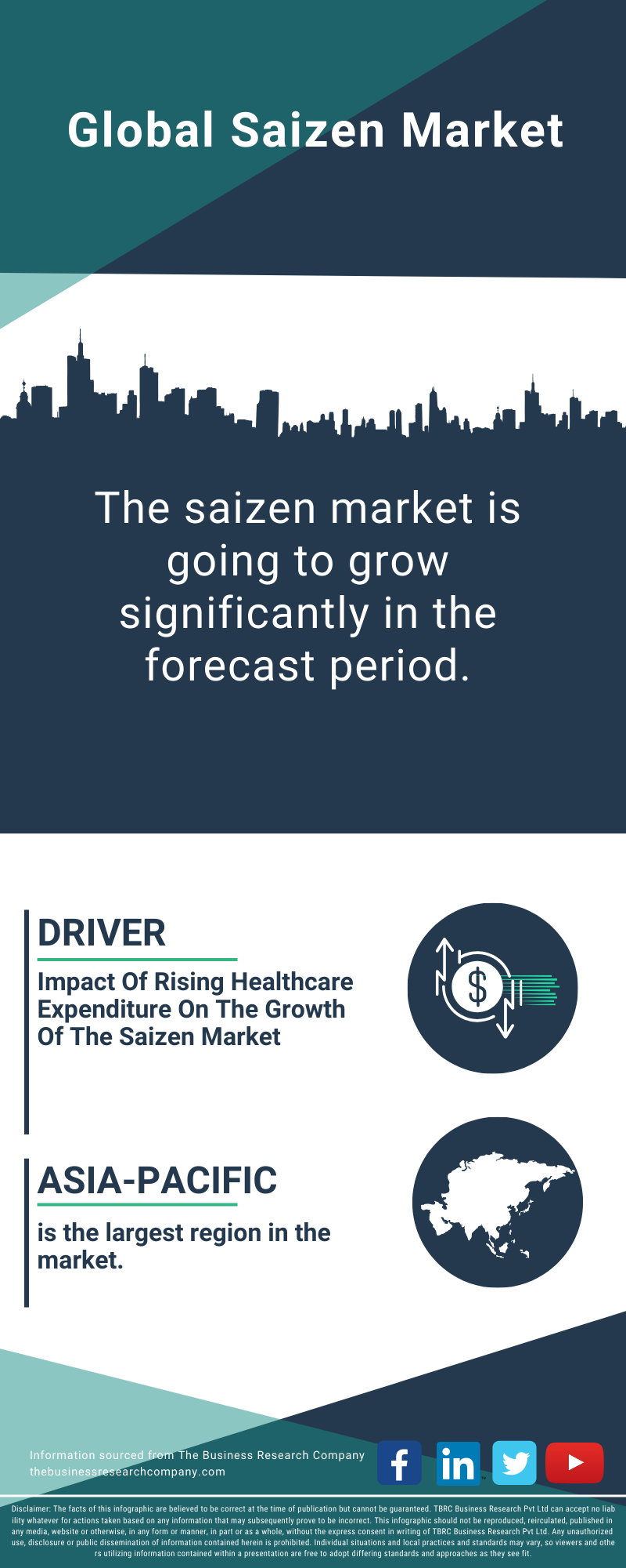 Saizen Global Market Report 2025