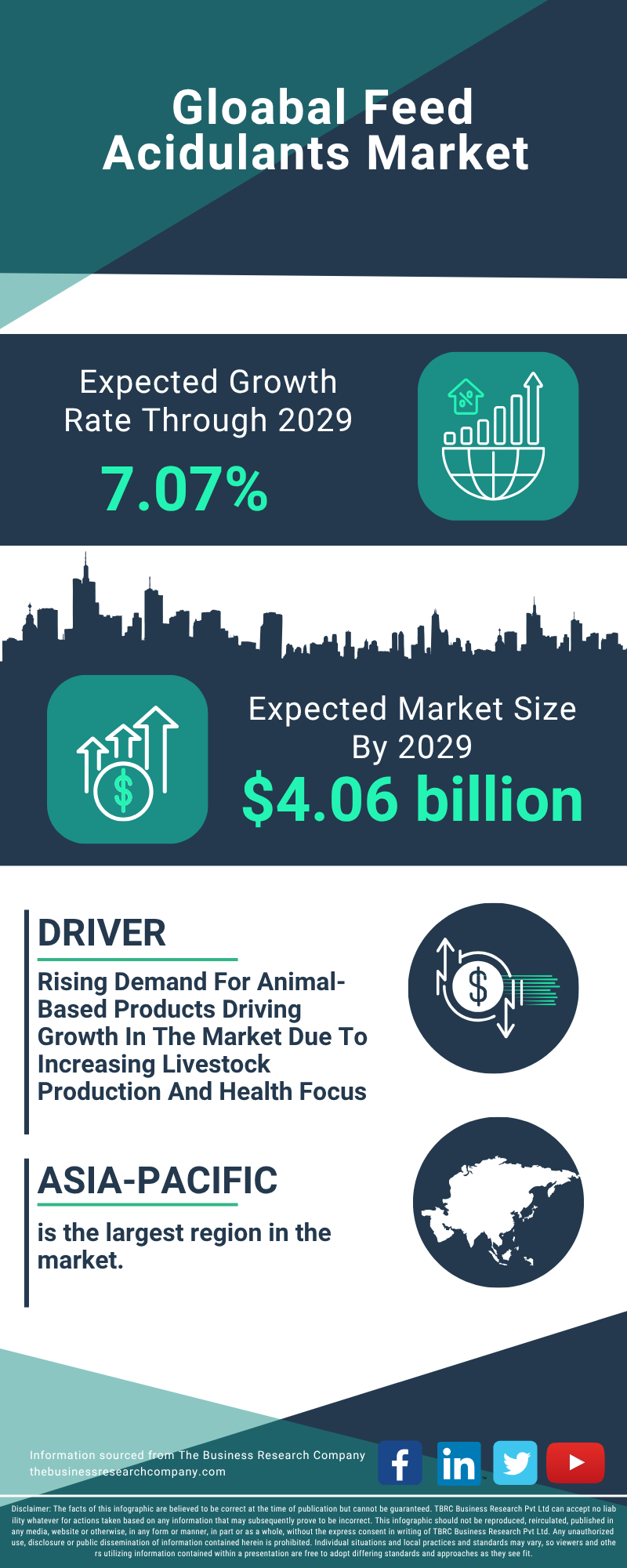 Feed Acidulants Global Market Report 2025