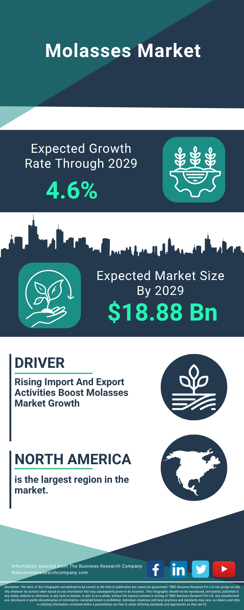 Molasses Global Market Report 2025