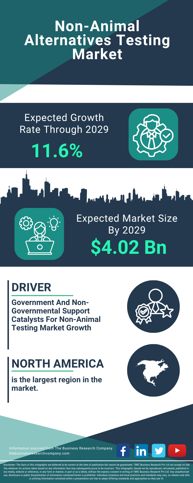 Non-Animal Alternatives Testing Global Market Report 2025