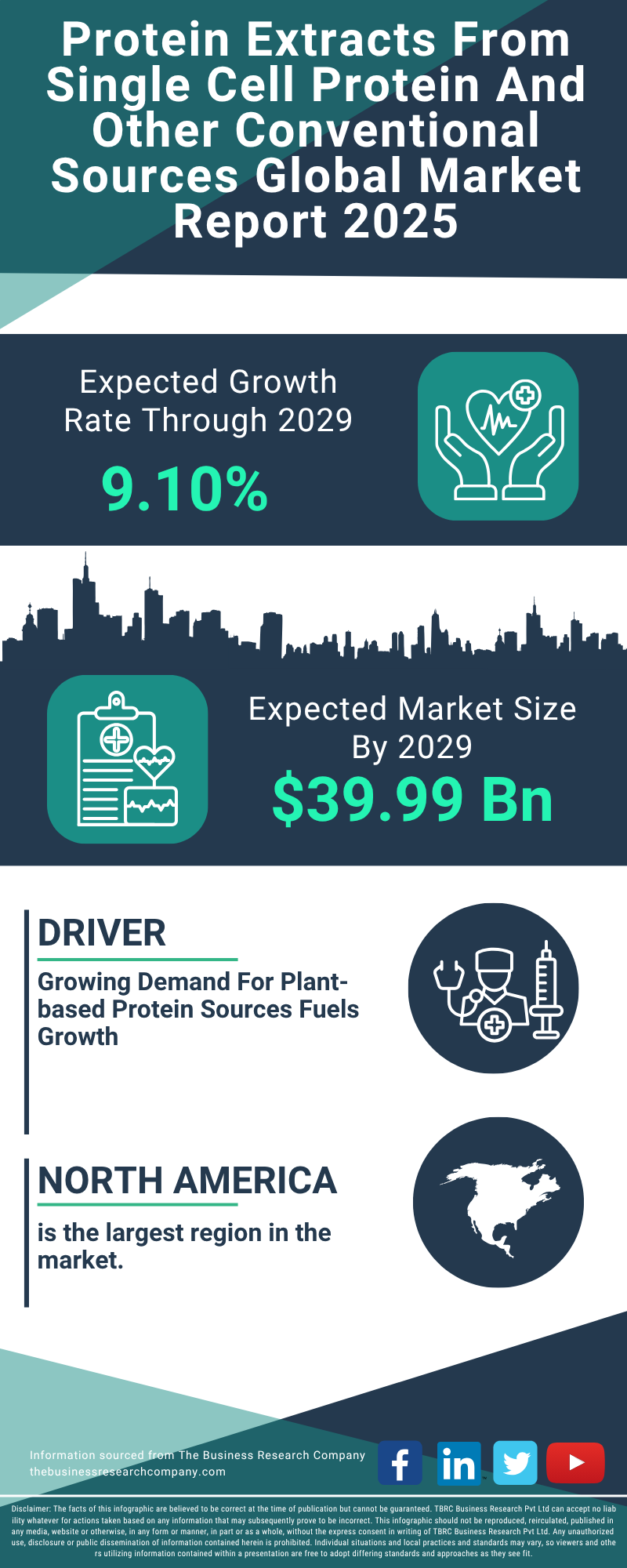Protein Extracts From Single Cell Protein And Other Conventional Sources Global Market Report 2025