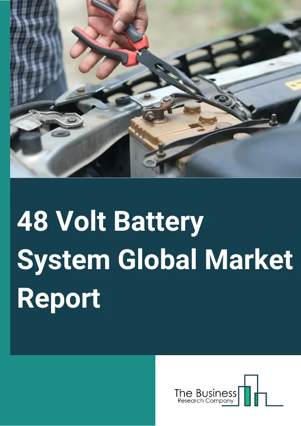 48 Volt Battery System Global Market Report 2025 – By Component (Alternating Current (Ac) Or Direct Current (Dc) Inverter, 48-Volt Lithium-Ion Battery, Battery Controller, Power Distribution Box, Other Components), By Ar...