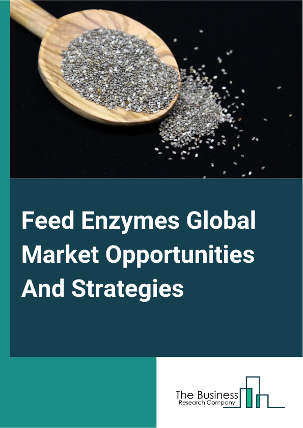 Feed Enzymes