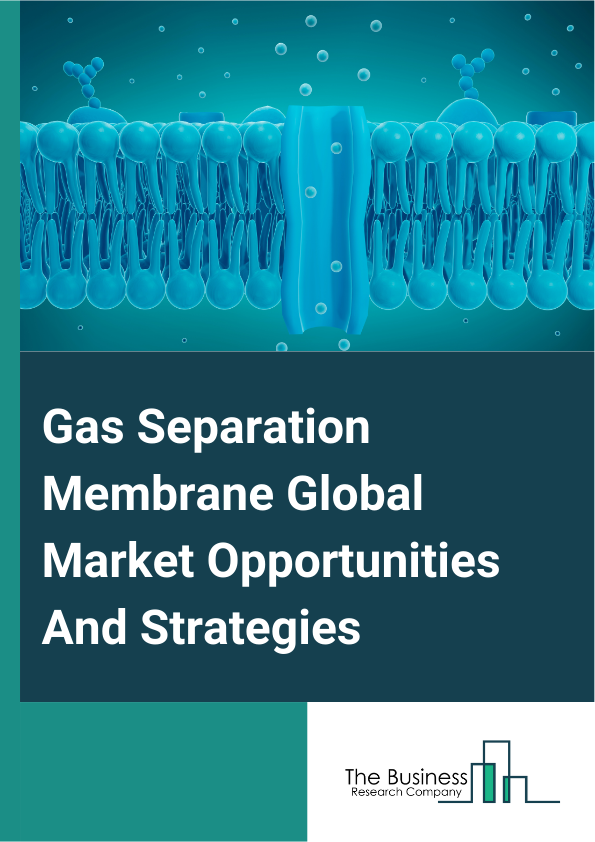 Gas Separation Membrane