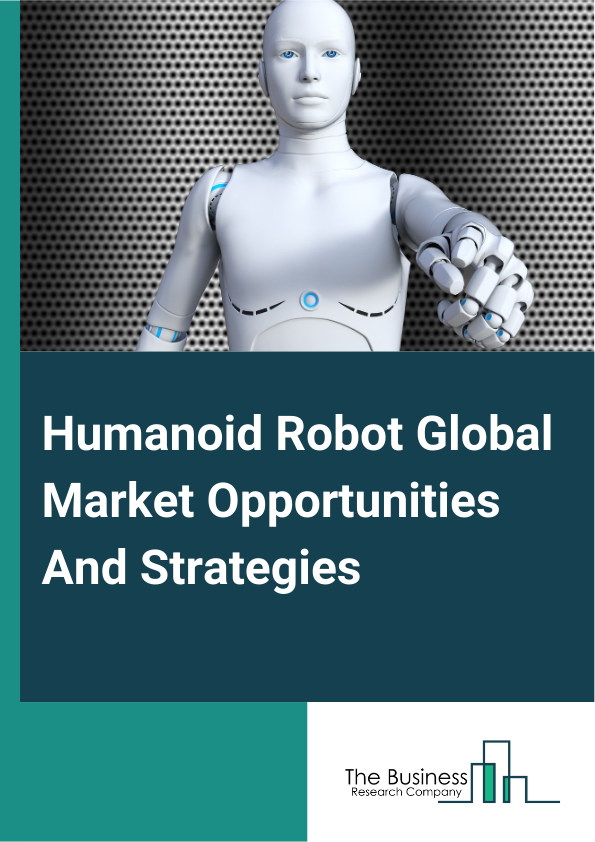 Humanoid Robot