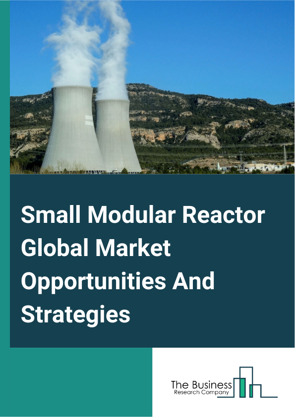 Small Modular Reactor