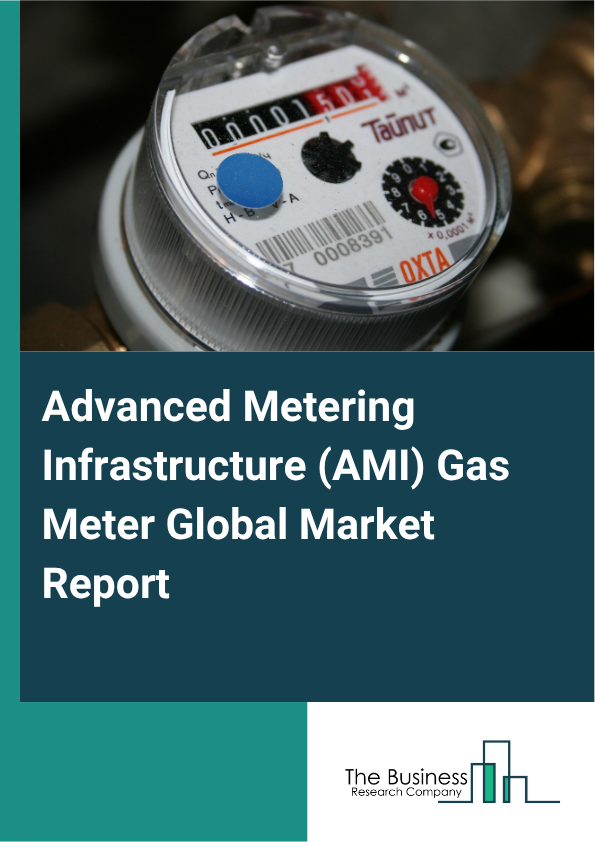 Advanced Metering Infrastructure (AMI) Gas Meter Market Size and growth rate 2025 to 2029: Graph