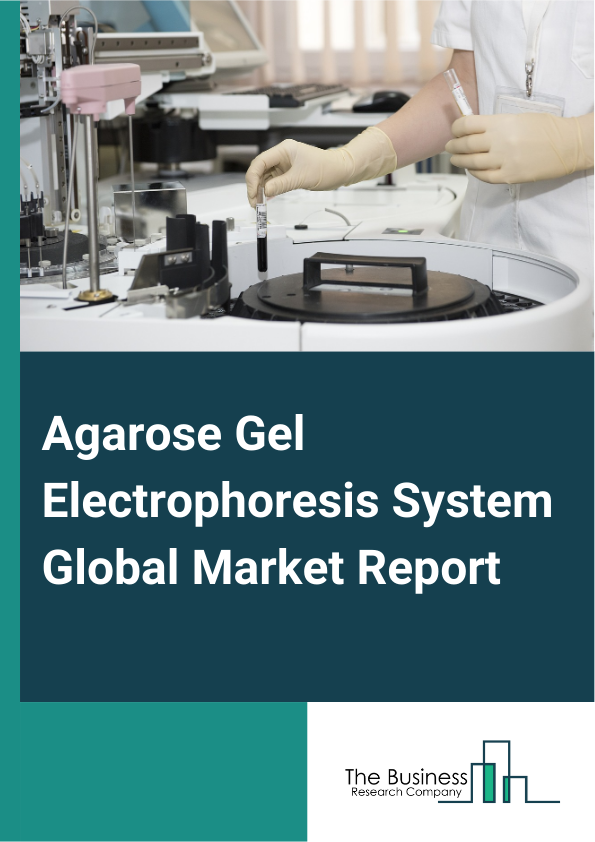 Agarose Gel Electrophoresis System