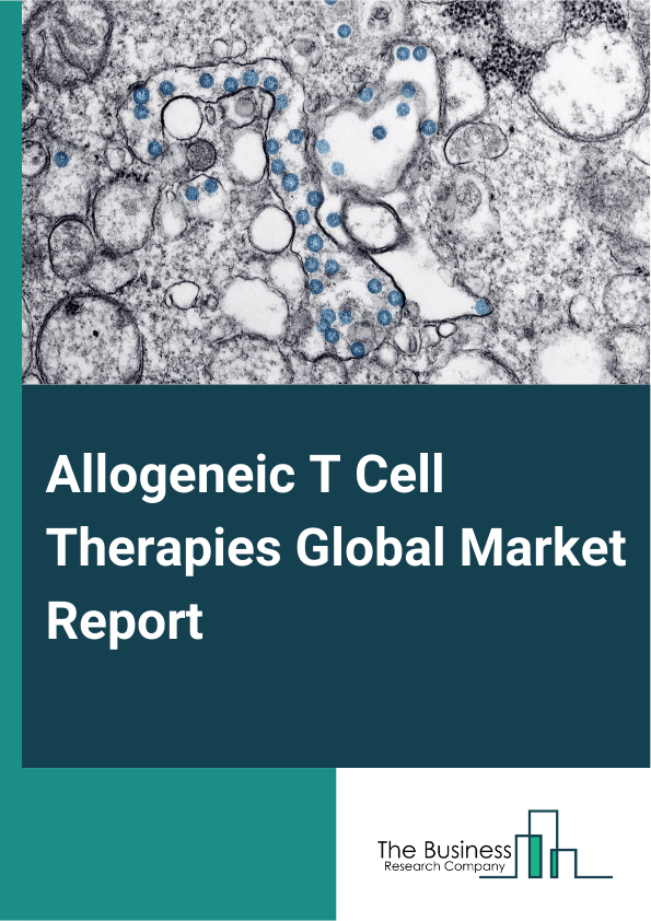 Allogeneic T Cell Therapies