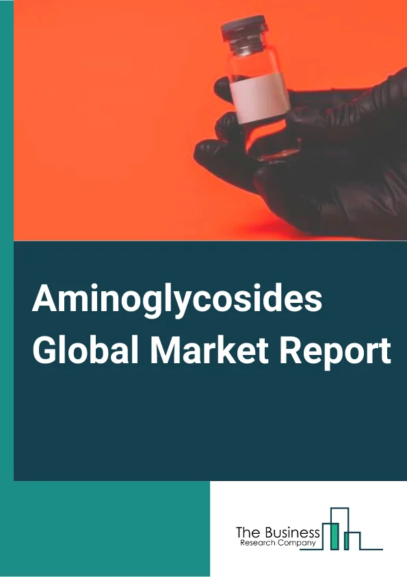 Aminoglycosides Global Market Report 2025 – By Product (Neomycin, Tobramycin, Gentamicin, Amikacin, Paromomycin, Streptomycin, Kanamycin, Other Products), By Route Of Administration (Injectables (Parenteral), Feed, Intra-Mammary, Topical, Oral), By Application (Veterinary, Skin Infection, Respiratory Diseases, UTI And Pelvic Diseases, Other Diseases) – Impact of Tariff and Trade War on Market Size, Growth, Trends, and Forecast 2025–2034