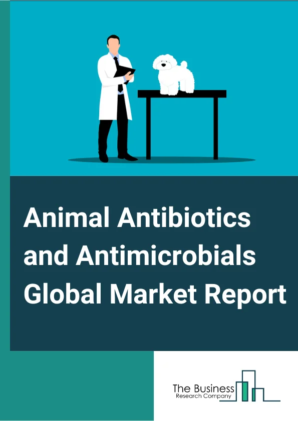 Animal Antibiotics and Antimicrobials Global Market Report 2025 – By Type of Product (Tetracyclines, Penicillins, Sulfonamides, Macrolides, Aminoglycosides, Lincosamides, Fluoroquinolones, Cephalosporins, Other Antimicro...