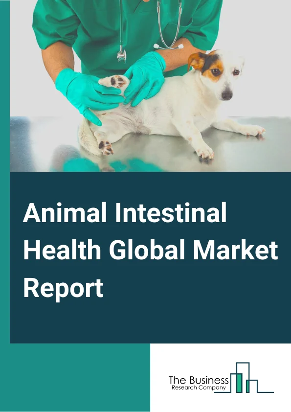 Animal Intestinal Health