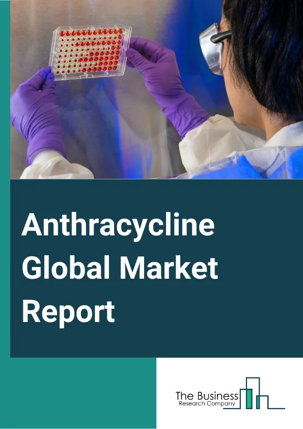 Anthracycline Global Market Report 2024 – By Drugs (Daunorubicin, Doxorubicin, Epirubicin, Idarubicin, Mitoxantrone, Valrubicin), By Dosage (Powder, Capsule, Solution, Injection, Suspension, Other Dosages), By Application (Acute Lymphocytic Leukemia, Acute Myelogenous Leukemia, Hodgkin's Lymphoma, Non-Hodgkin's Lymphoma, Bladder Cancer, Breast Cancer, Other Metastatic Cancers), By End User (Hospitals, Homecare, Specialty Clinics, Other End Users) – Market Size, Trends, And Global Forecast 2024-2033