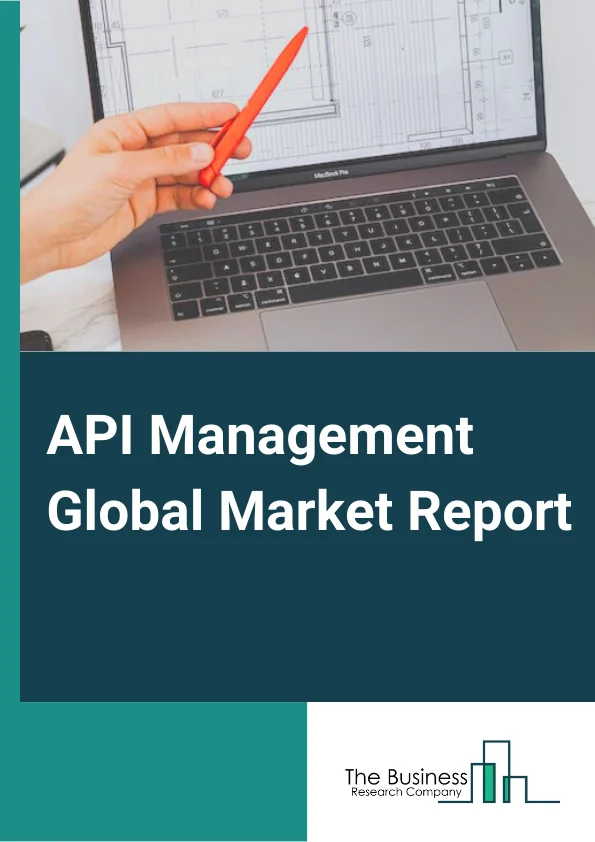 Global API Management Market Report 2025