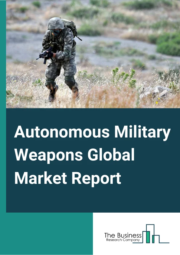 Autonomous Military Weapons