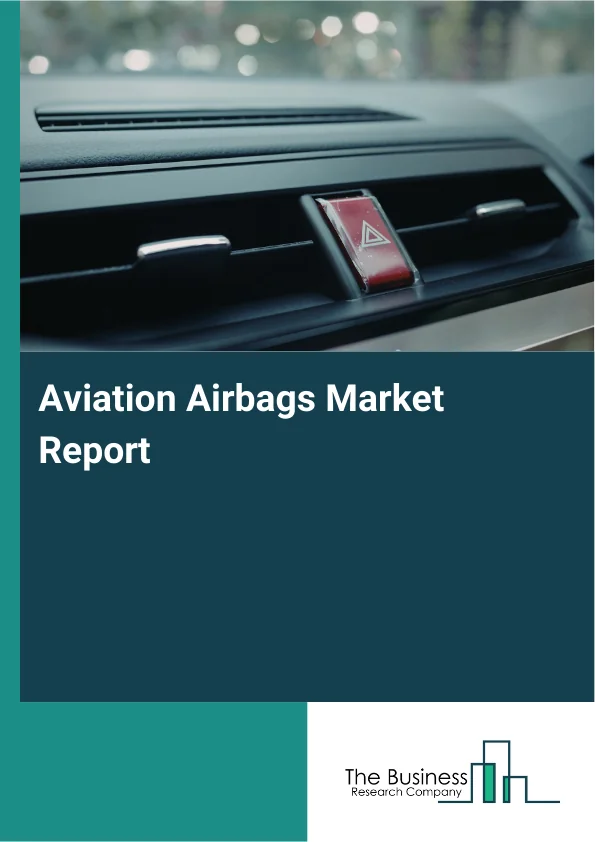 Aviation Airbags Market Report Infographic Image