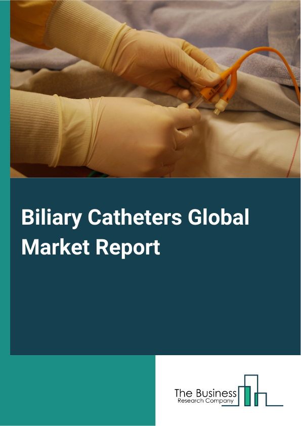 Biliary Catheters Market Report Infographic Image