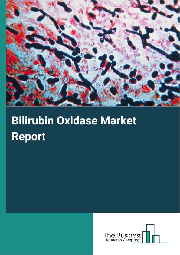 Bilirubin Oxidase Market Report Infographic Image