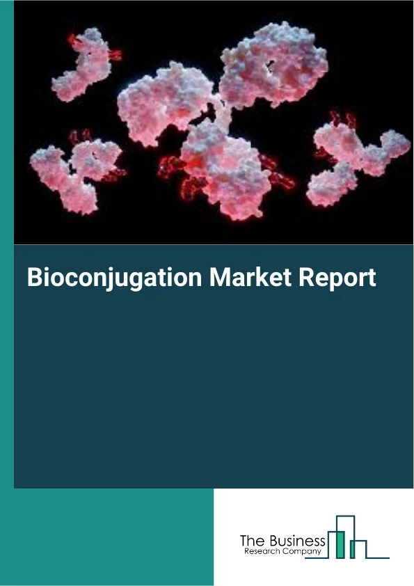 Bioconjugation Market Report Infographic Image