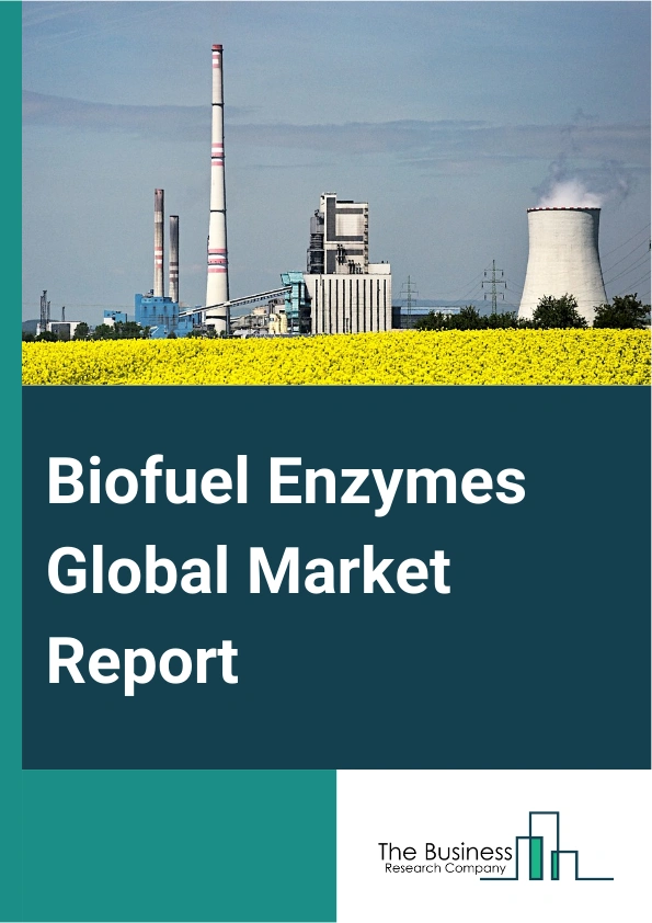 Biofuel Enzymes Global Market Report 2025 – By Type (Amylases, Cellulases, Proteases, Lipases, Other Types), By Source (Microorganisms, Plants, Animals), By Reaction Type (Hydrolase, Lyase, Other Reactions Types), By App...