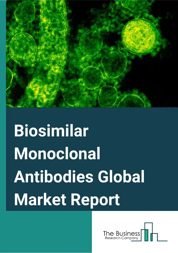 Biosimilar Monoclonal Antibodies