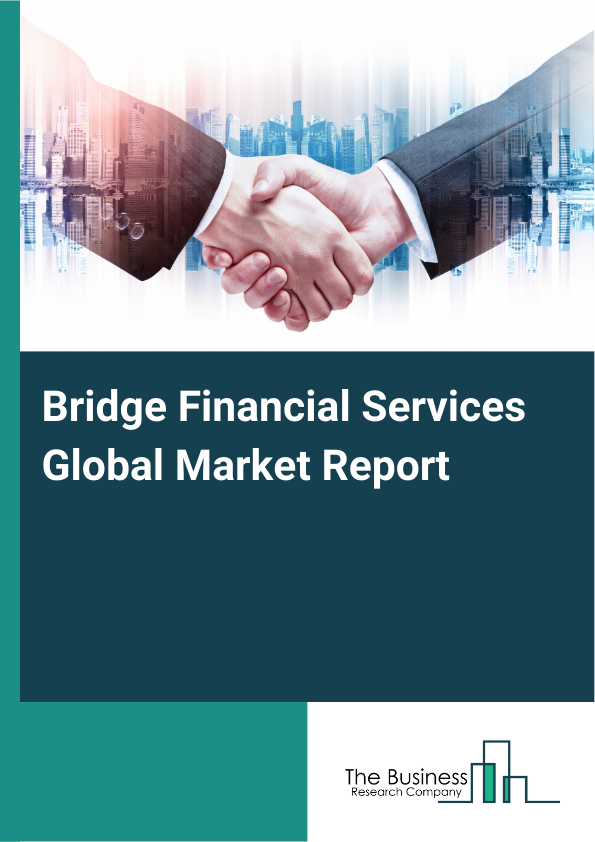 Bridge Financial Services Market Report Infographic Image