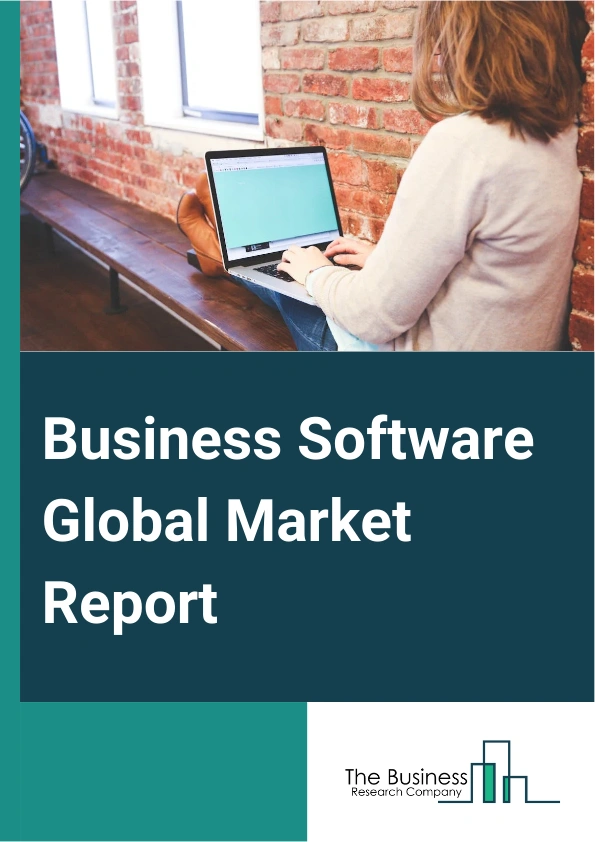 Global Business Software Market Report 2025