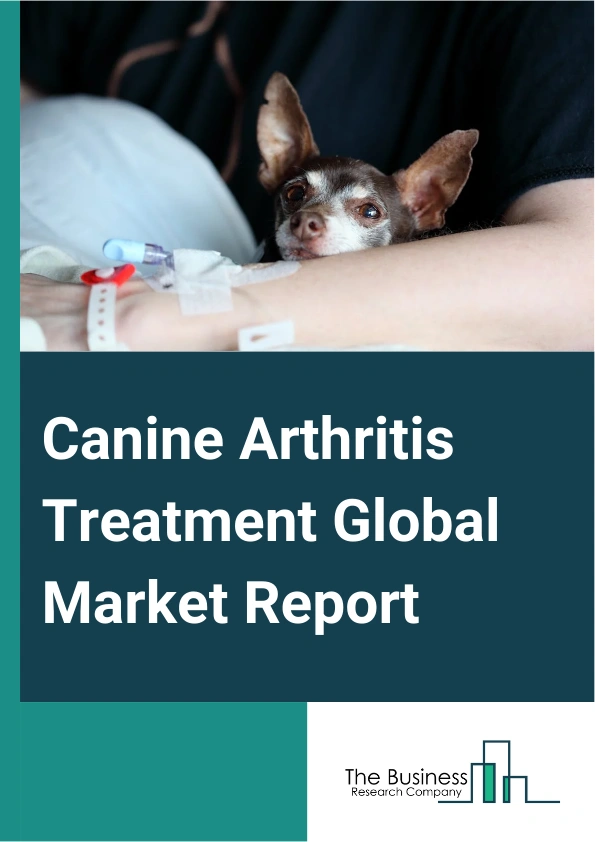 Canine Arthritis Treatment