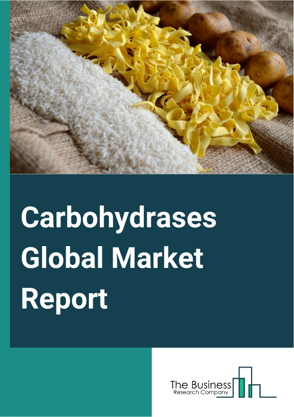 Carbohydrases Global Market Report 2025 – By Type (Alpha-Amylase, Beta-Glucanase, Cellulase, Other Types), By Application (Food And Beverage, Animal Feed, Pharmaceutical, Other Applications), By Distribution Channel (Onl...