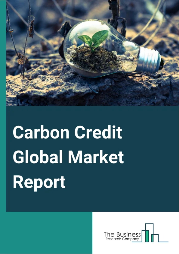 Carbon Credit Global Market Report 2024 – By Type (Compliance, Voluntary), By Project Type (Avoidance Or Reduction Projects, Removal Or Sequestration Projects), By End-Use (Power, Energy, Aviation, Transportation, Buildings, Industrial, Other End-Uses) – Market Size, Trends, And Global Forecast 2024-2033