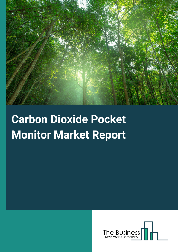 Carbon Dioxide Pocket Monitor Market Report Infographic Image