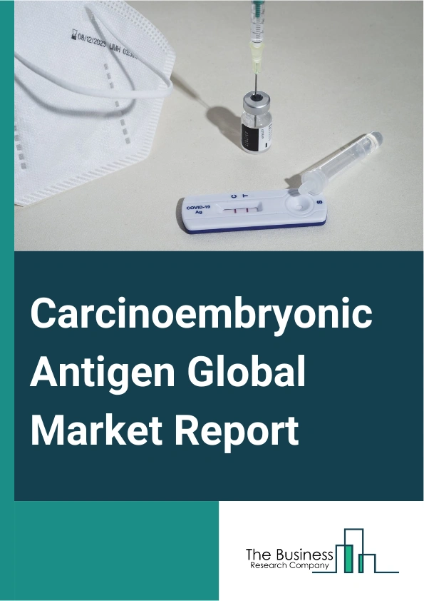 Carcinoembryonic Antigen Global Market Report 2025 – By Test Type (Molecular Tests, Serology Tests), By Gender (Male, Female), By Application (Gastrointestinal Cancer, Colorectal Cancer, Pancreatic Cancer, Breast Cancer, Lung Cancer, Thyroid Cancer, Ovarian Cancer, Other Applications), By End User (Hospitals, Diagnostic Centers, Cancer Centers, Research And Academic Institutes) – Impact of Tariff and Trade War on Market Size, Growth, Trends, and Forecast 2025–2034